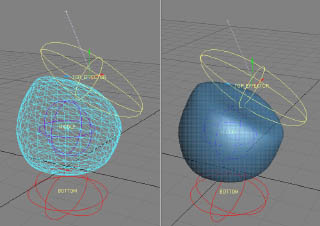 Slim A. Bear's Exercise Ball Rig
